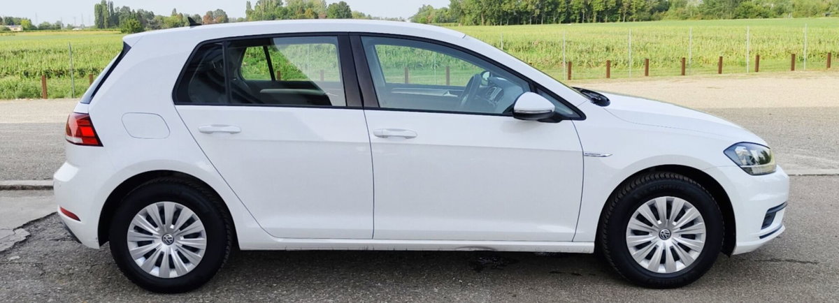 Volkswagen Golf 1.4 TGI 5p. Trendline BlueMotion (6)