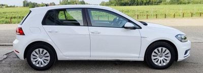 Volkswagen Golf 1.4 TGI 5p. Trendline BlueMotion (6)