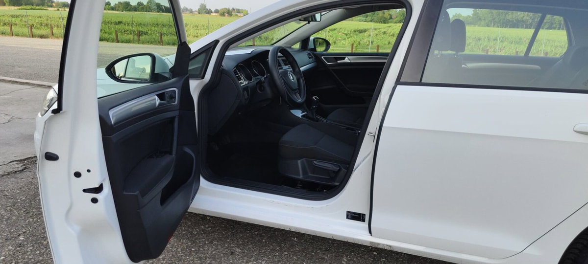 Volkswagen Golf 1.4 TGI 5p. Trendline BlueMotion (9)