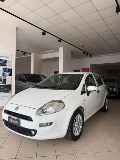 Fiat Punto 1.3 MJT II S&S 95 CV 5 porte Street (3)