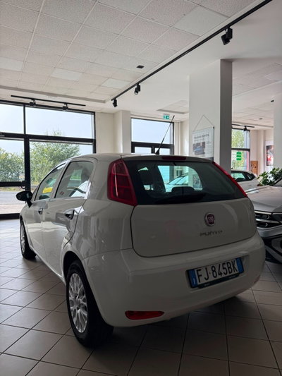 Fiat Punto 1.3 MJT II S&S 95 CV 5 porte Street (5)