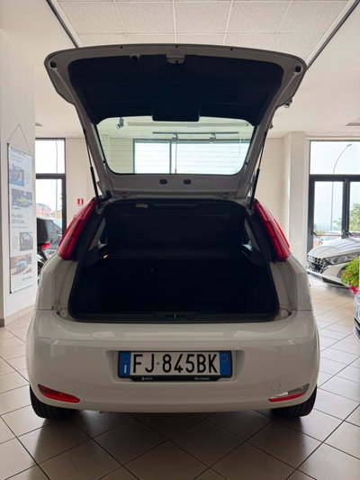 Fiat Punto 1.3 MJT II S&S 95 CV 5 porte Street (7)