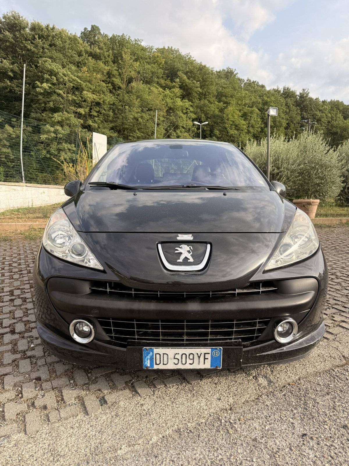 Peugeot 207 THP 150CV 3p. Féline (2)