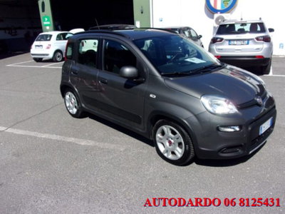 Fiat Panda 1.0 firefly hybrid s&s 70cv 5p.ti (9)
