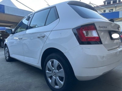 Skoda Fabia 1.4 TDI 90 CV DSG Style (5)