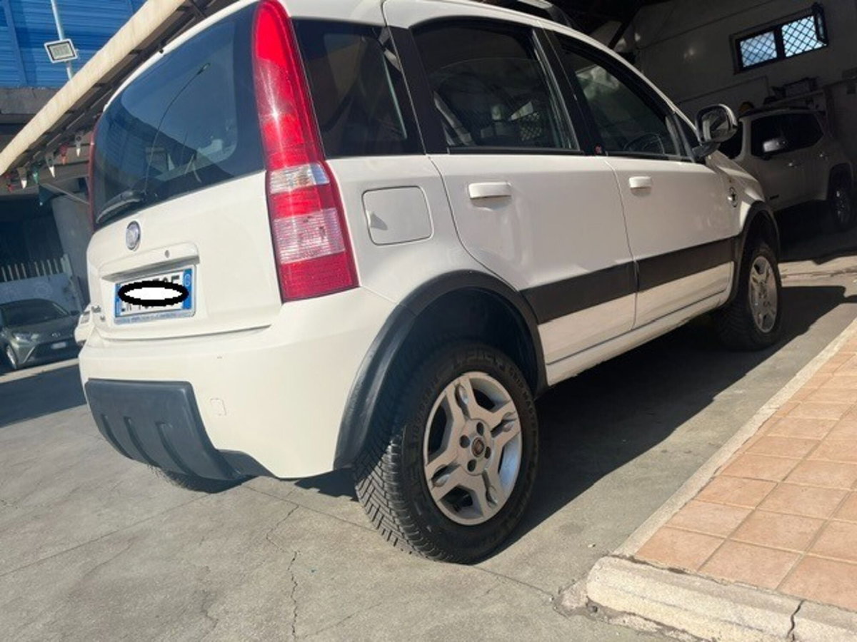 Fiat Panda 1.3 MJT DPF Van Dynamic 4 posti (2)