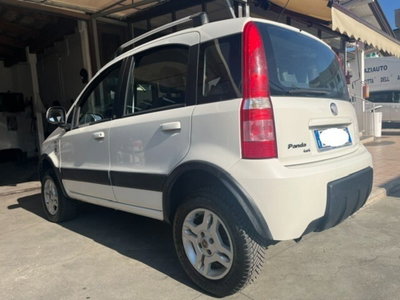 Fiat Panda 1.3 MJT DPF Van Dynamic 4 posti (3)