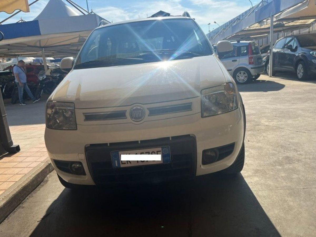 Fiat Panda 1.3 MJT DPF Van Dynamic 4 posti (4)