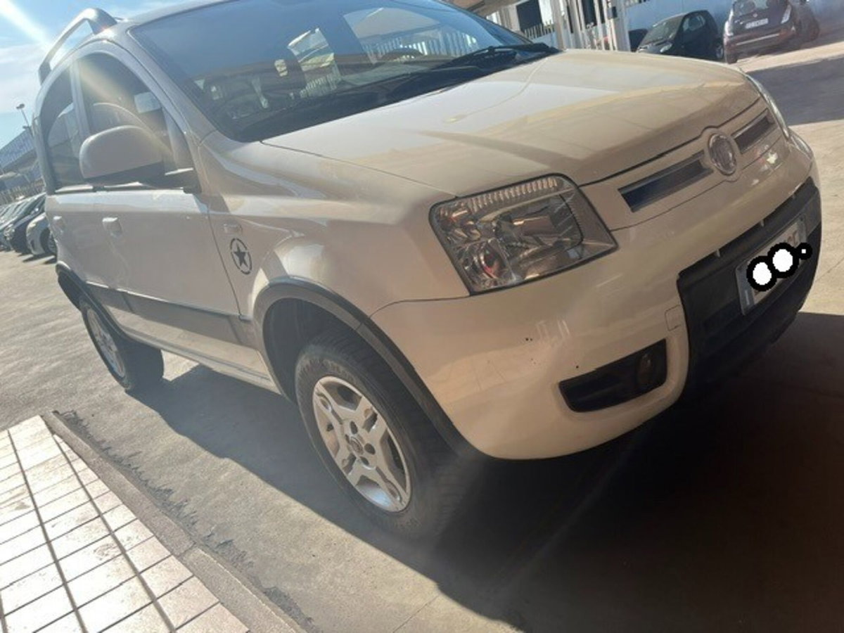 Fiat Panda 1.3 MJT DPF Van Dynamic 4 posti (6)