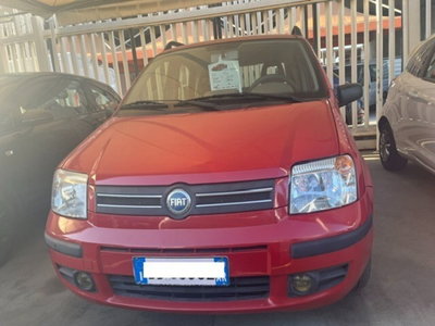 Fiat Panda 1.2 Dynamic usata