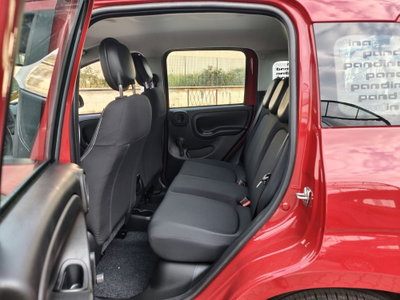 Fiat Pandina 1.0 firefly hybrid Icon s&s 65cv (14)