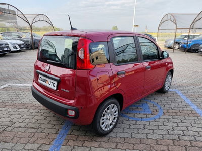 Fiat Pandina 1.0 firefly hybrid Icon s&s 65cv (4)
