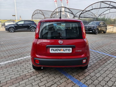 Fiat Pandina 1.0 firefly hybrid Icon s&s 65cv (5)