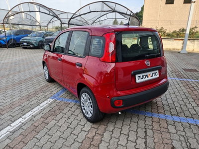 Fiat Pandina 1.0 firefly hybrid Icon s&s 65cv (6)
