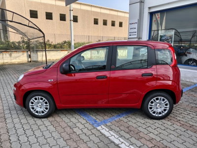 Fiat Pandina 1.0 firefly hybrid Icon s&s 65cv (7)