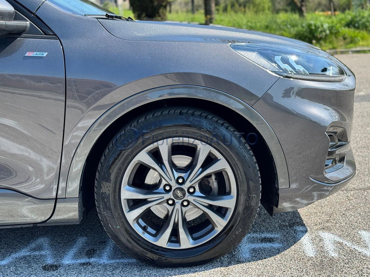 Ford Kuga 2.0 EcoBlue 120CV aut. AWD ST-Line X (9)