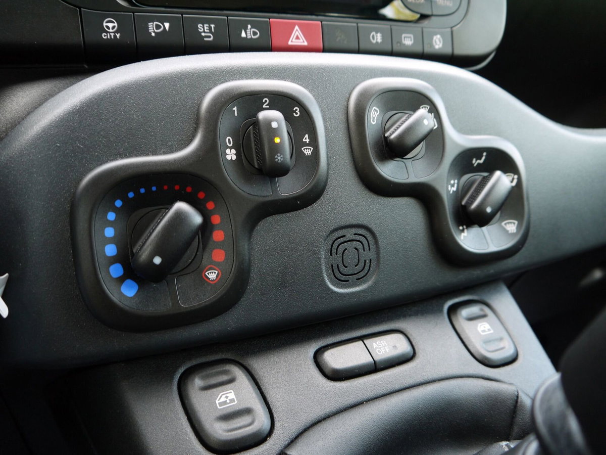 Fiat Panda Cross Cross 1.0 FireFly S&S Hybrid (17)