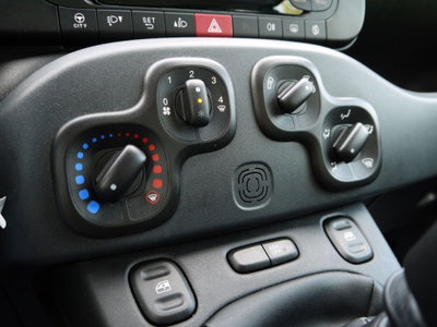 Fiat Panda Cross Cross 1.0 FireFly S&S Hybrid (17)
