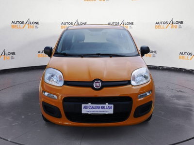 Fiat Panda Cross Cross 1.0 FireFly S&S Hybrid (2)