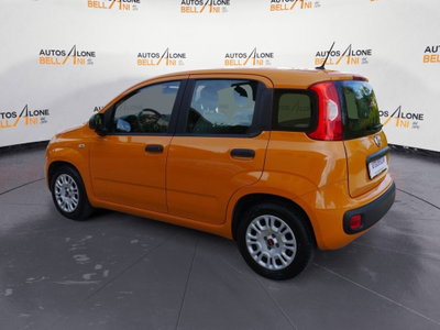 Fiat Panda Cross Cross 1.0 FireFly S&S Hybrid (4)