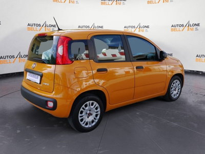 Fiat Panda Cross Cross 1.0 FireFly S&S Hybrid (6)