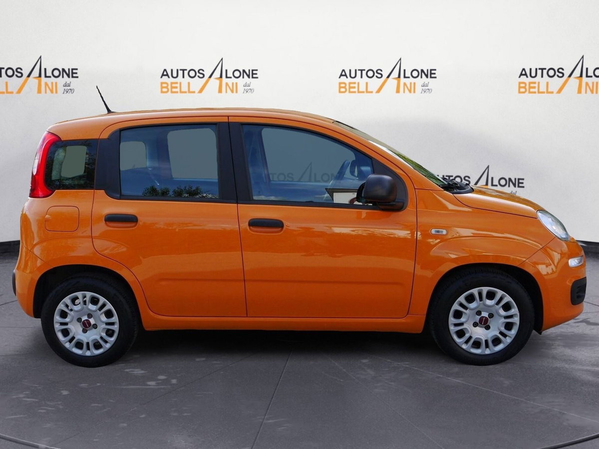 Fiat Panda Cross Cross 1.0 FireFly S&S Hybrid (7)
