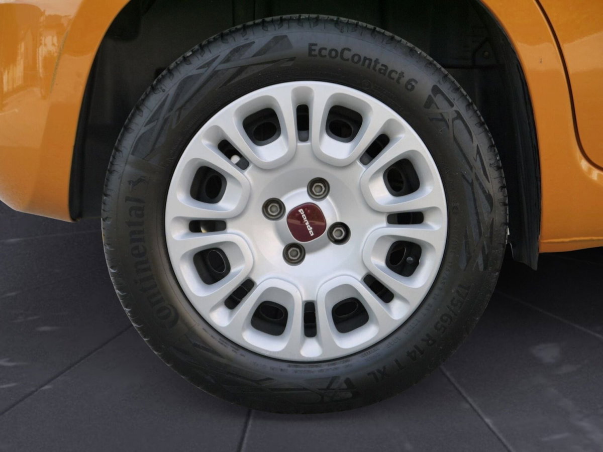 Fiat Panda Cross Cross 1.0 FireFly S&S Hybrid (8)