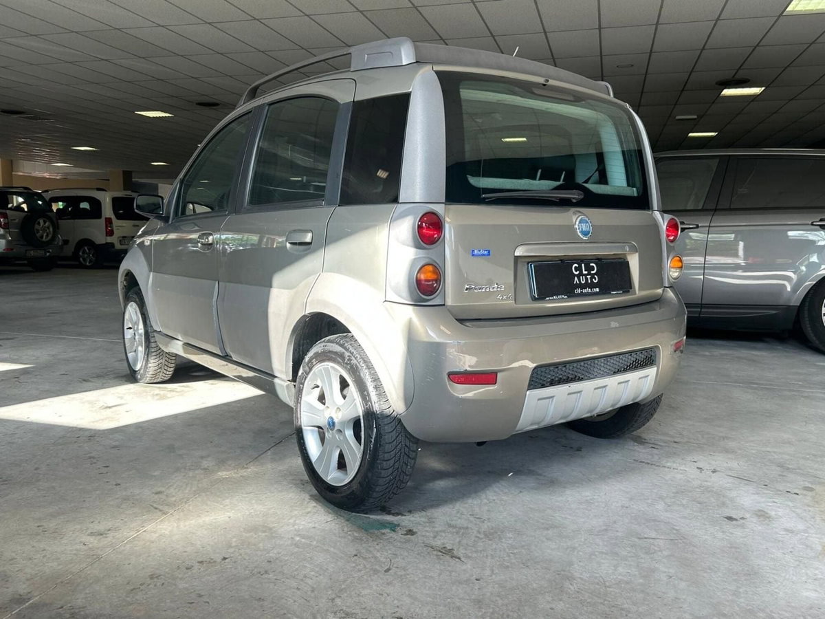 Fiat Panda 1.3 MJT 16V 4x4 Monster (2)