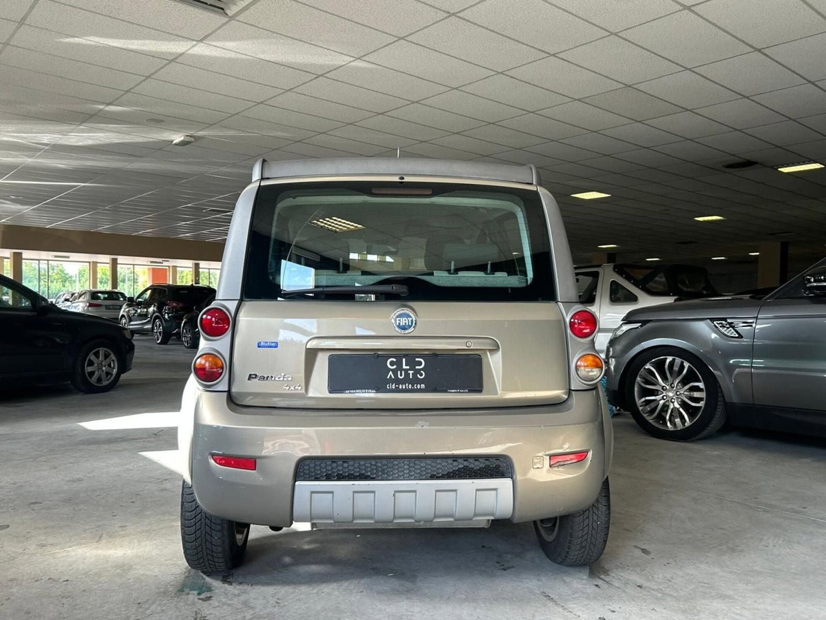 Fiat Panda 1.3 MJT 16V 4x4 Monster (3)