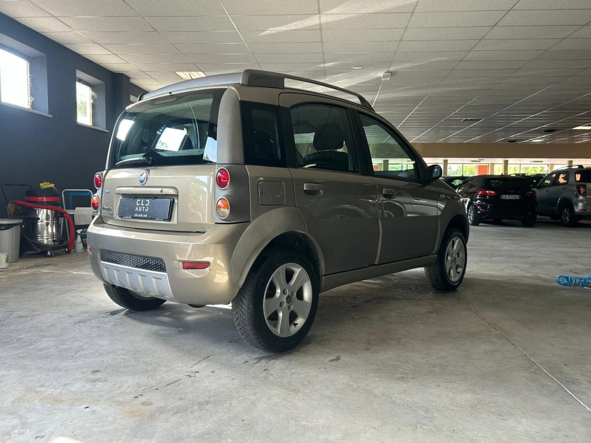Fiat Panda 1.3 MJT 16V 4x4 Monster (4)
