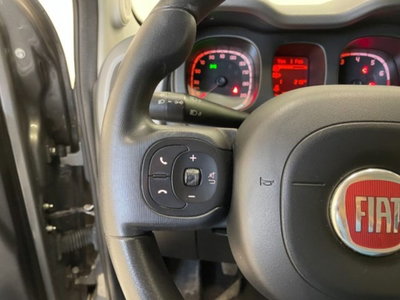 Fiat Panda Cross 1.0 firefly hybrid Cross s&s 70cv 5p.ti (19)