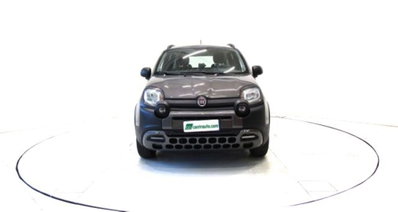 Fiat Panda Cross 1.0 firefly hybrid Cross s&s 70cv 5p.ti (2)