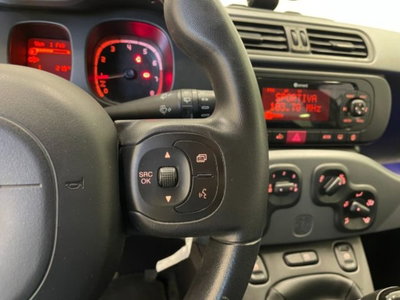 Fiat Panda Cross 1.0 firefly hybrid Cross s&s 70cv 5p.ti (20)