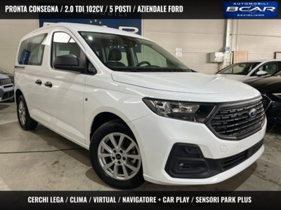 Ford Tourneo Connect 2.0 EcoBlue 102 CV Plus usata