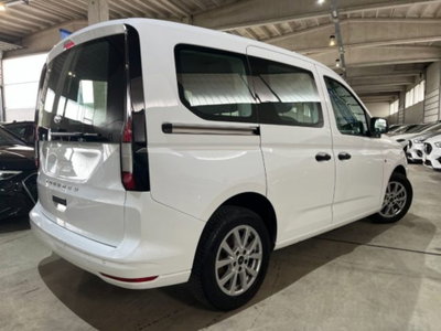 Ford Tourneo Connect 2.0 EcoBlue 102 CV Plus (4)