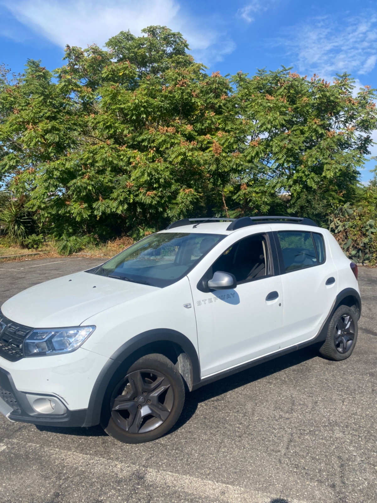 Dacia Sandero Stepway 1.5 dCi 8V 90CV Start&Stop Easy-R (2)