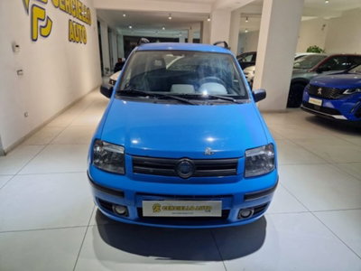 Fiat Panda 1.2 Dynamic usata