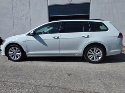 Volkswagen Golf Variant 1.4 TGI Comfortline BlueMotion (4)