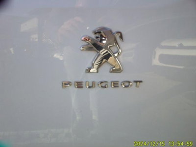 Peugeot Partner Furgone BlueHDi 130 S&S PL-DC Furgone Mobile (20)