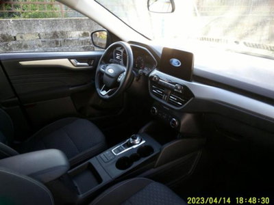Ford Kuga 1.5 EcoBlue 120 CV 2WD Titanium (8)
