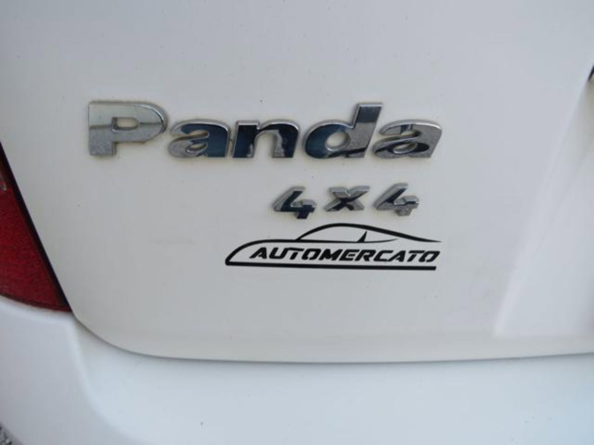 Fiat Panda 1.2 4x4 Climbing (14)