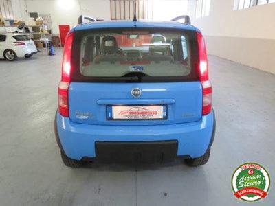 Fiat Panda 1.2 4x4 Climbing (5)