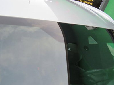 Ford Focus Station Wagon 1.5 EcoBlue 120 CV automatico SW Business Co-Pilot (17)