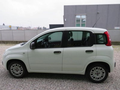 Fiat Panda 1.2 Easy (2)