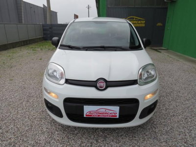 Fiat Panda 1.2 Easy (3)