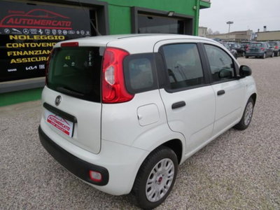 Fiat Panda 1.2 Easy (6)