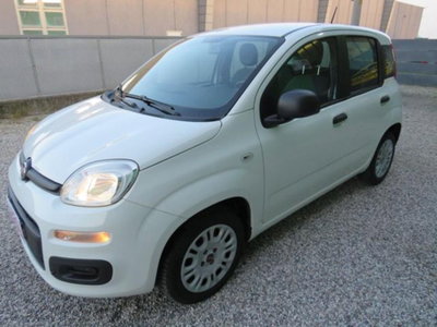 Fiat Panda 1.2 Easy usata