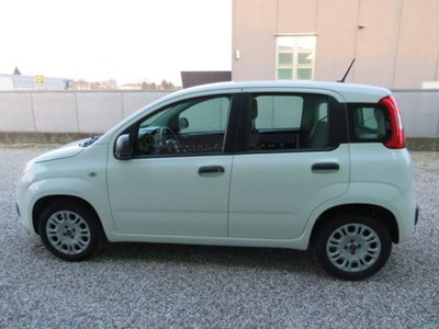 Fiat Panda 1.2 Easy (2)