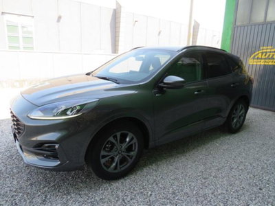 Ford Kuga 2.5 Full Hybrid 190 CV CVT 2WD ST-Line X usata