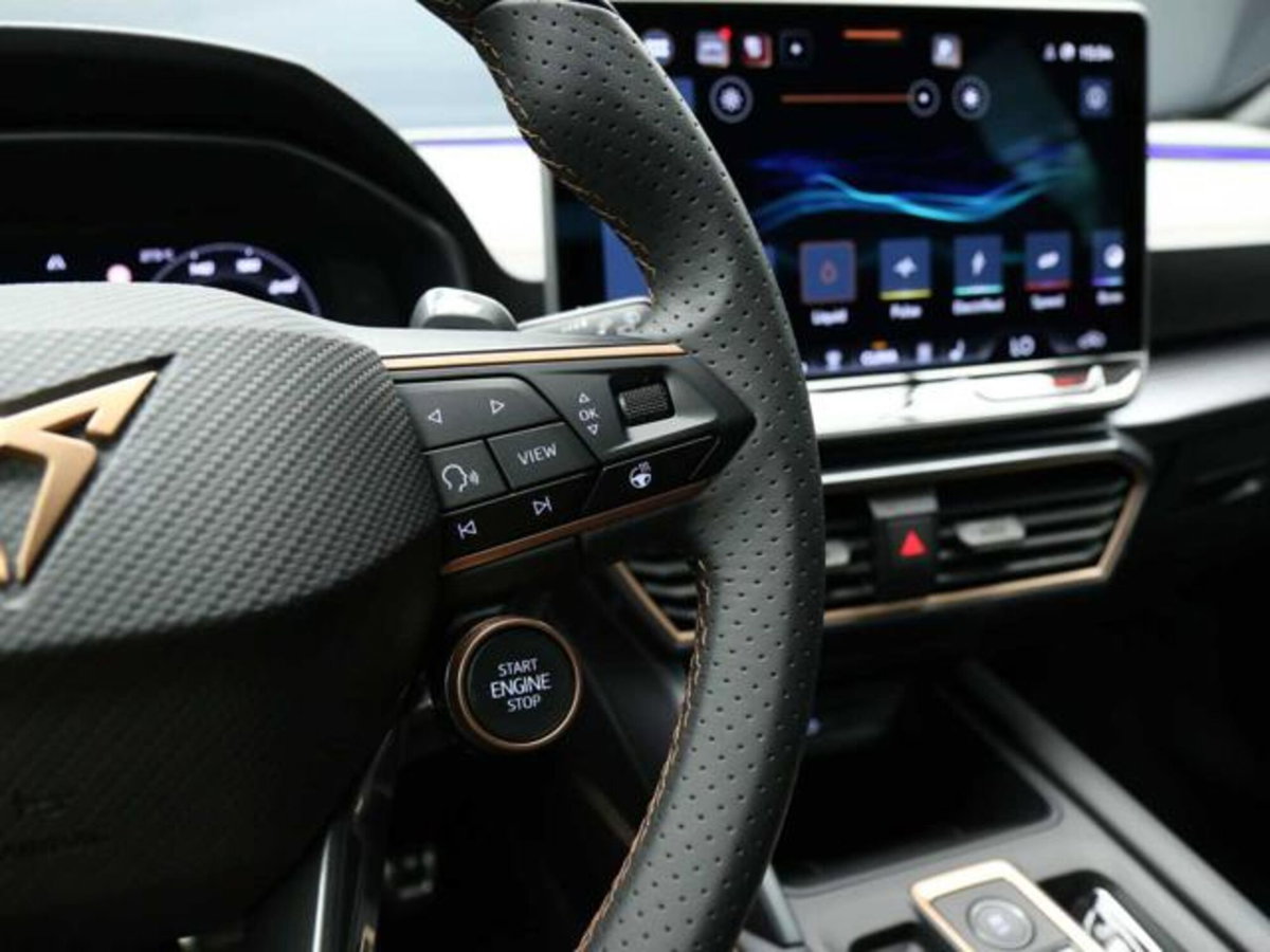 Cupra Formentor 1.5 hybrid 150cv dsg (11)